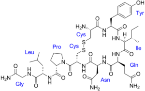 Oxytocin Chemical Structure 1